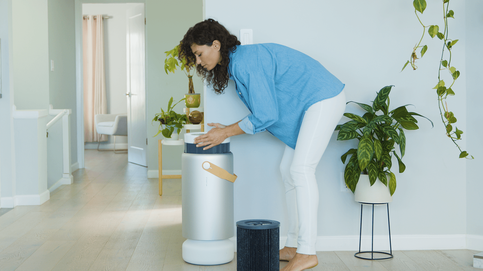 Cover Image for 7 Reasons Why Molekule Is My Favorite Way to Breathe Clean Air 